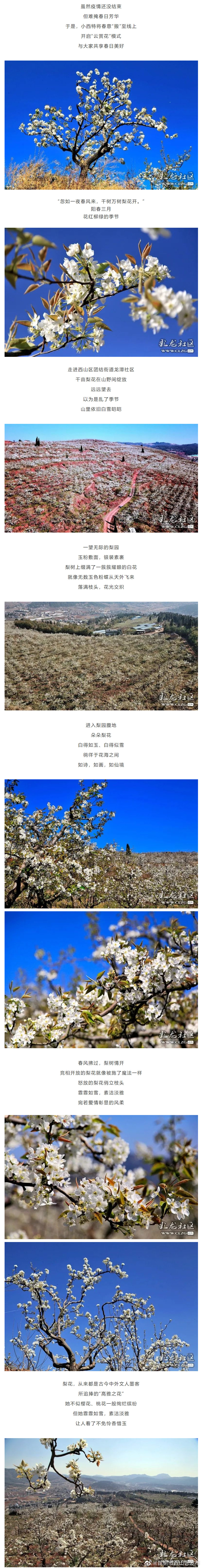 “昆明市西山区发布”微博