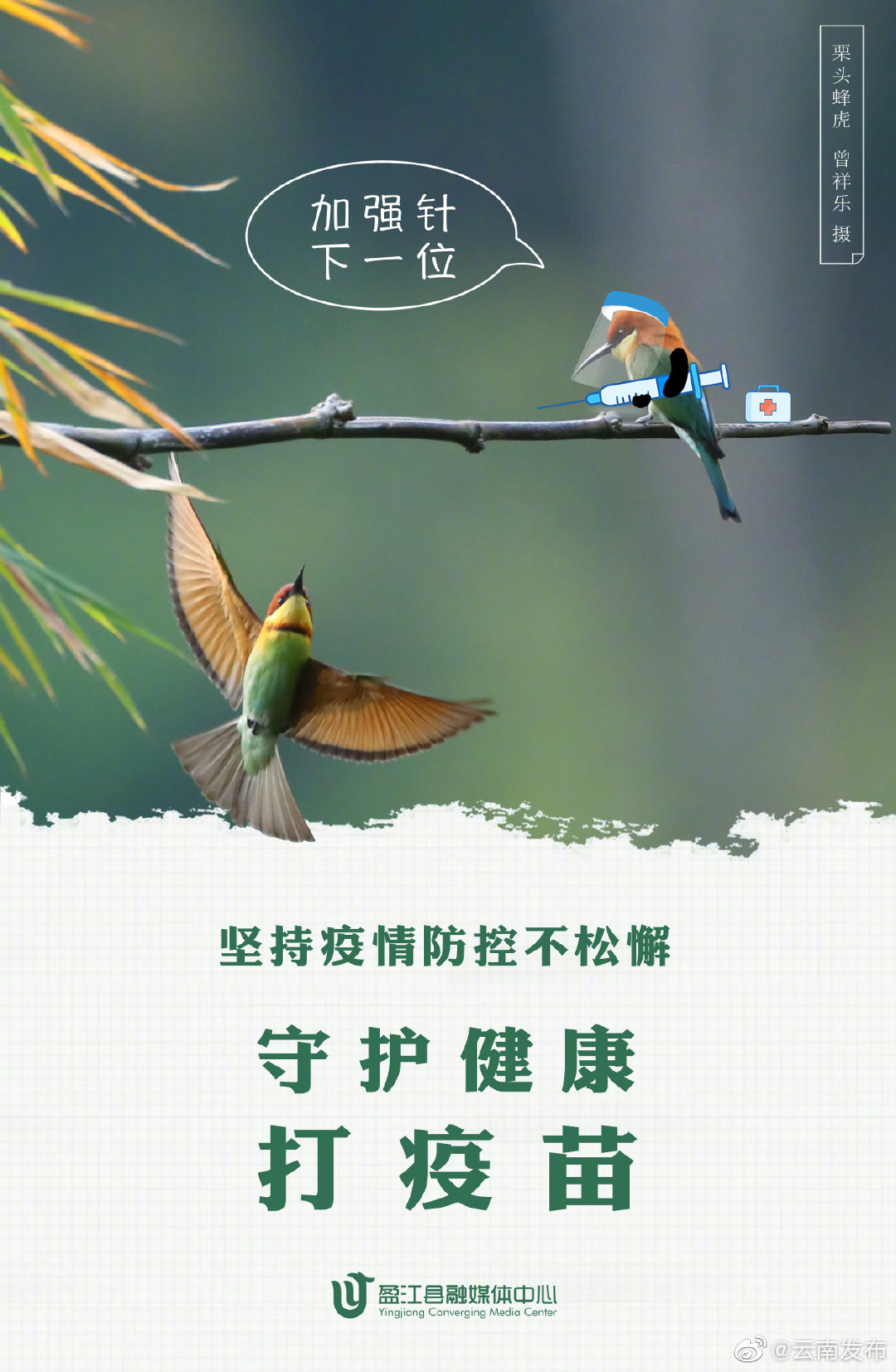 “云南发布”微博