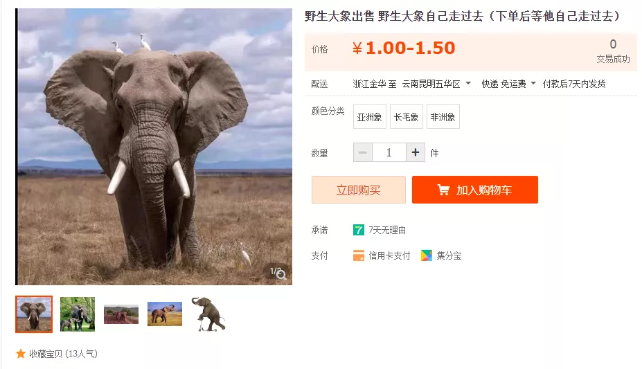 云南政法