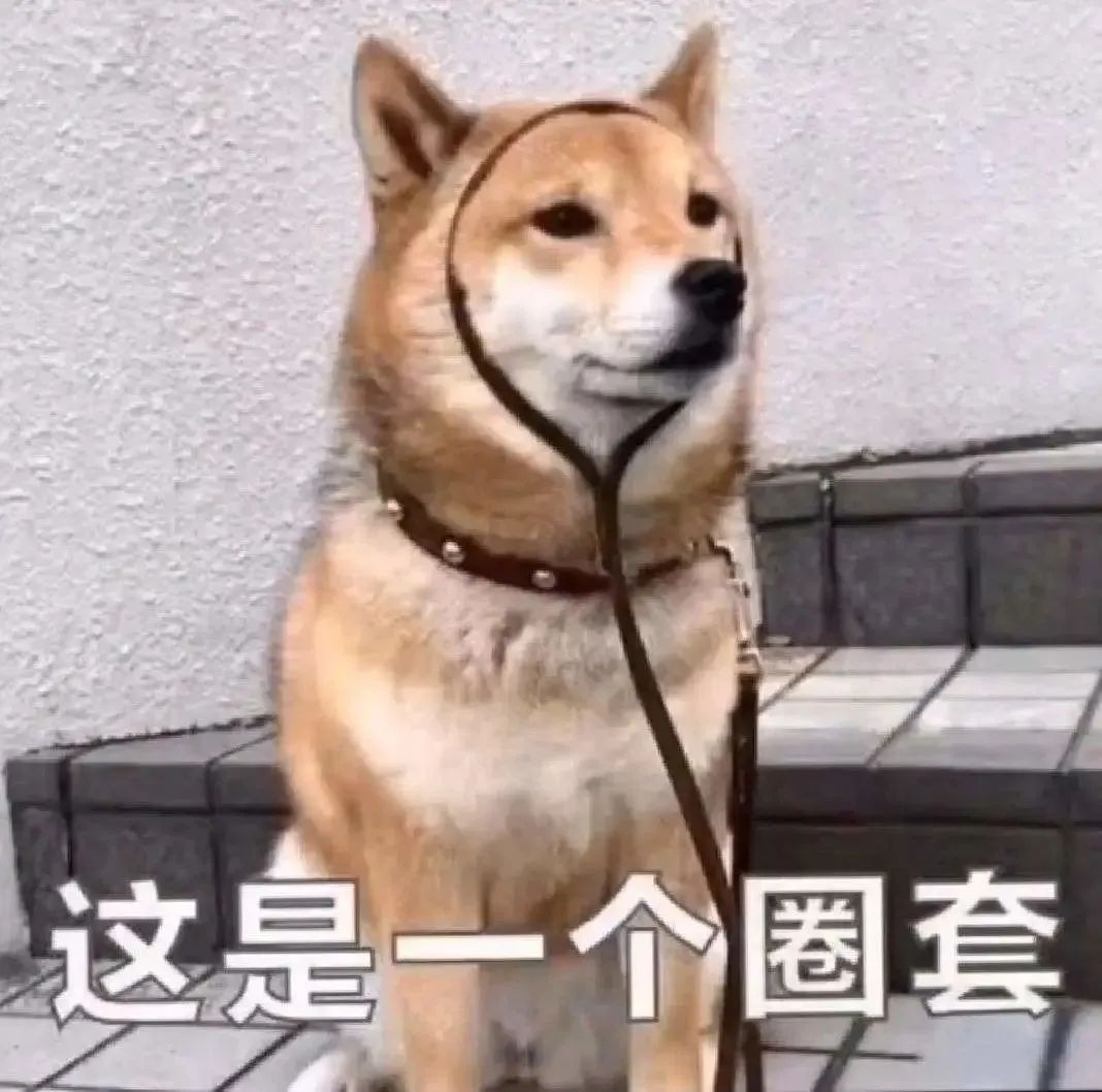 云南法制报