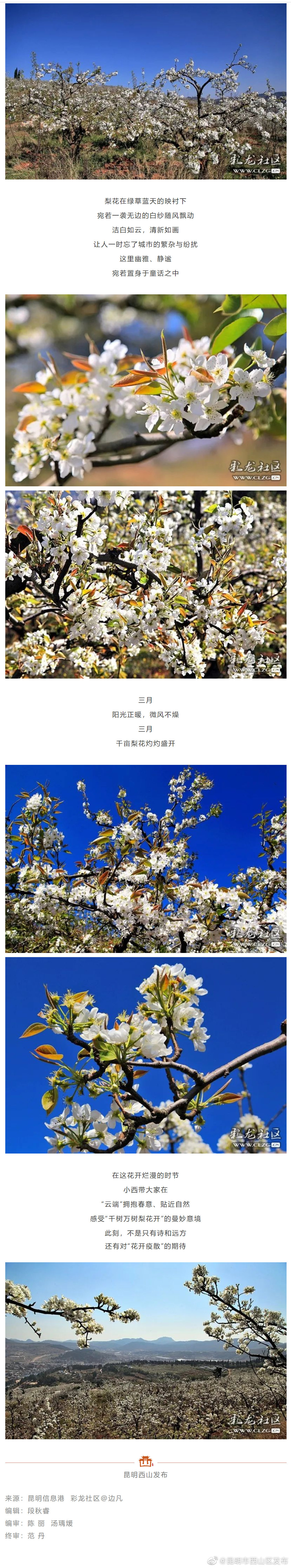 “昆明市西山区发布”微博
