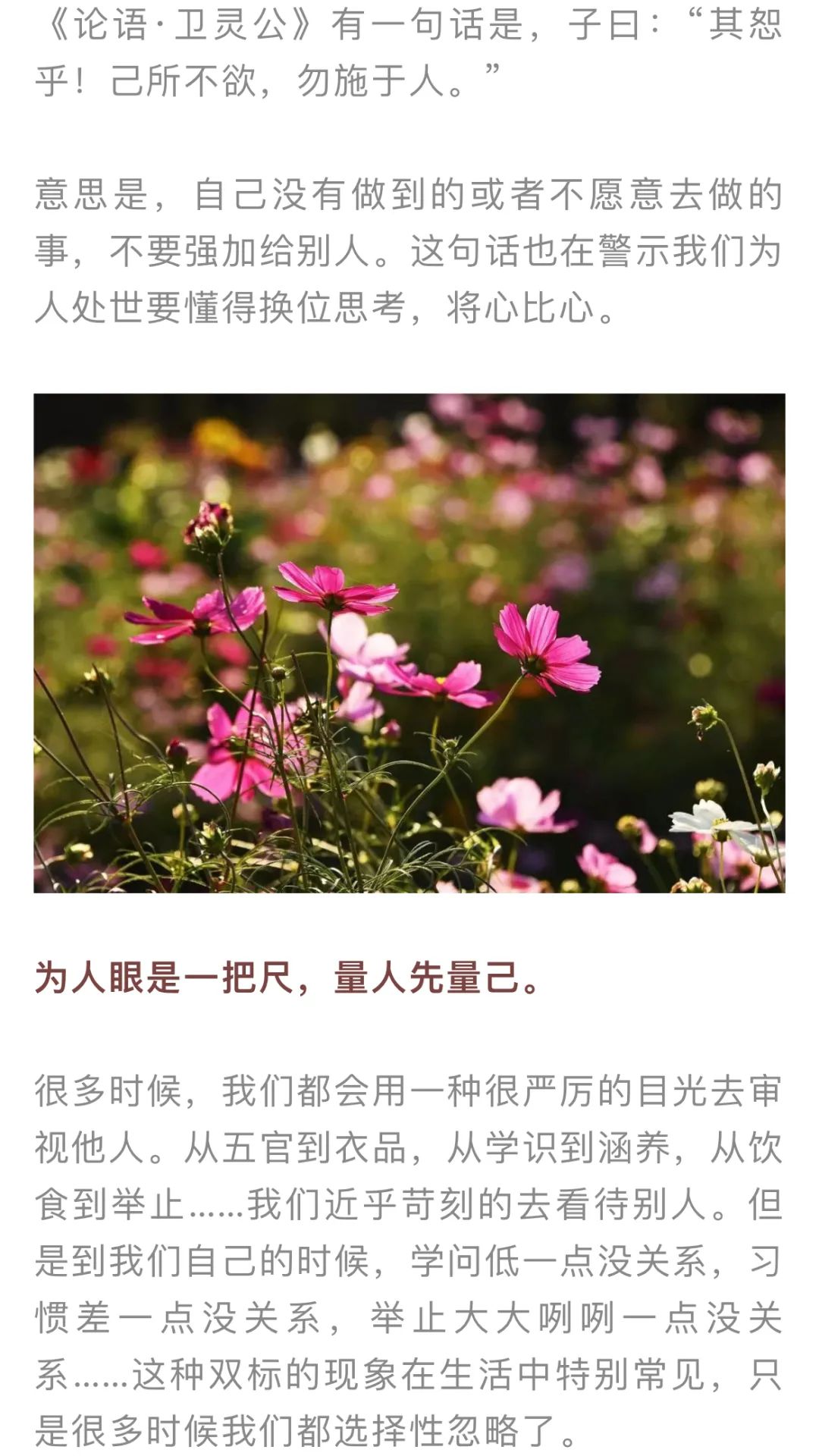 红色扎西