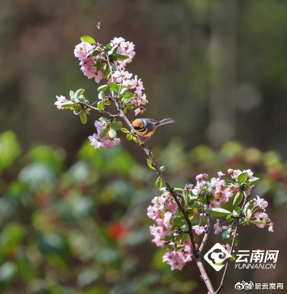 呈贡发布