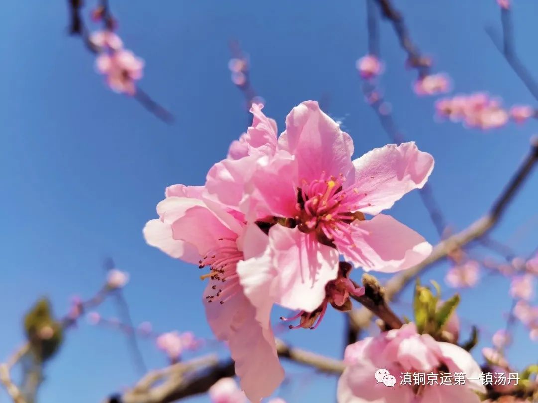 东川发布(微信)
