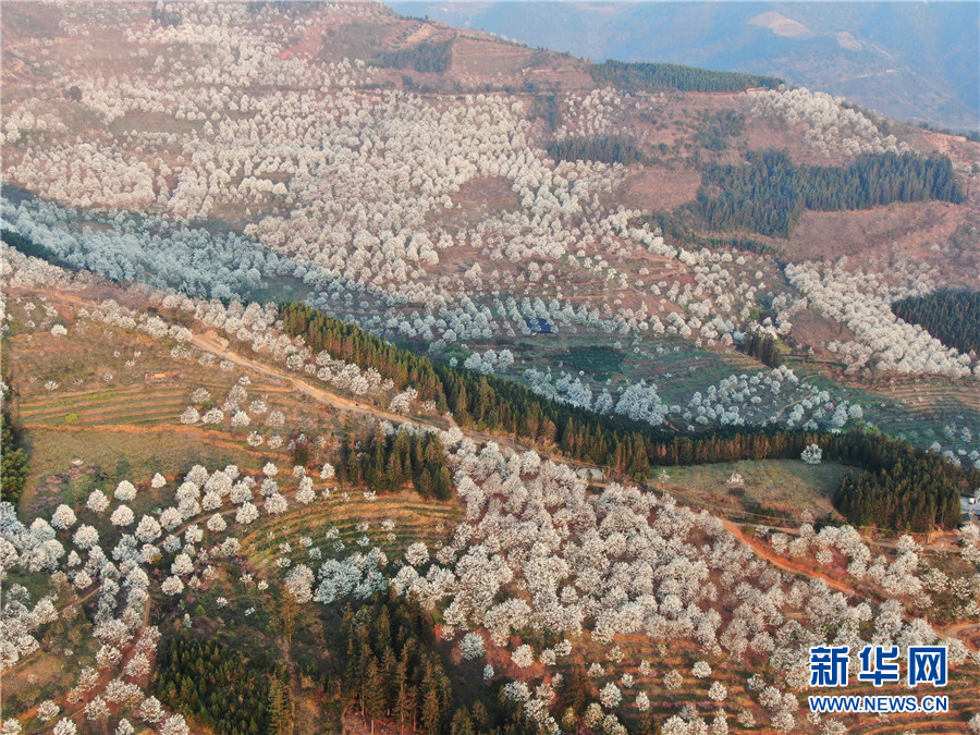 云南省文化和旅游厅