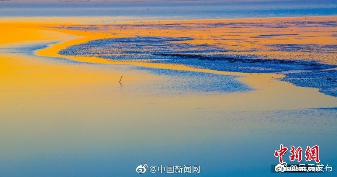呈贡发布
