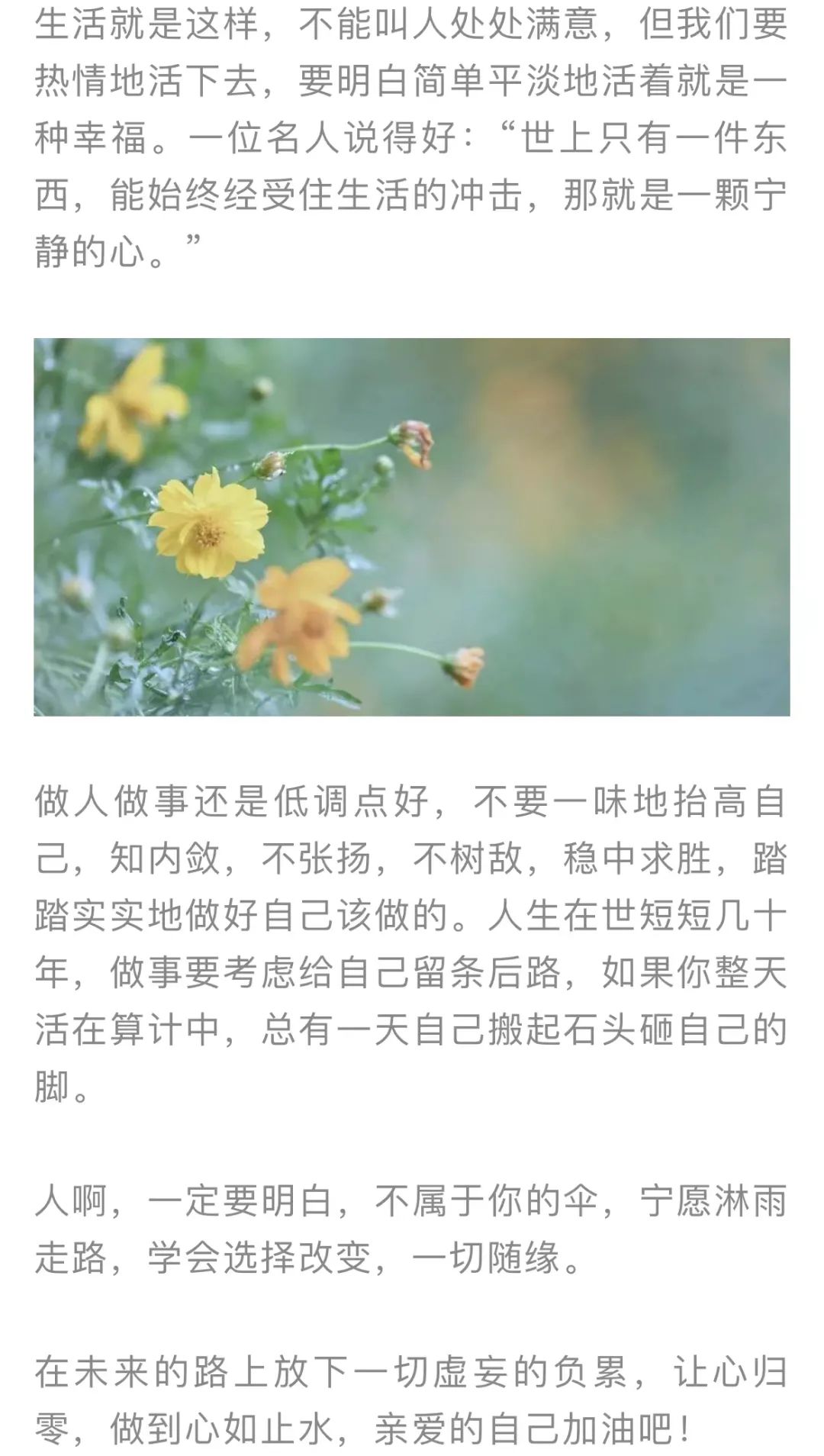 红色扎西