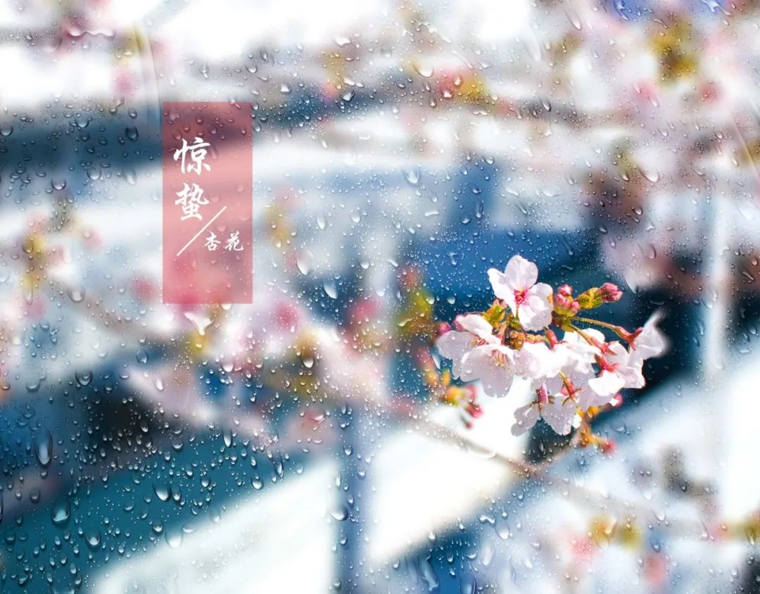 大理电视台