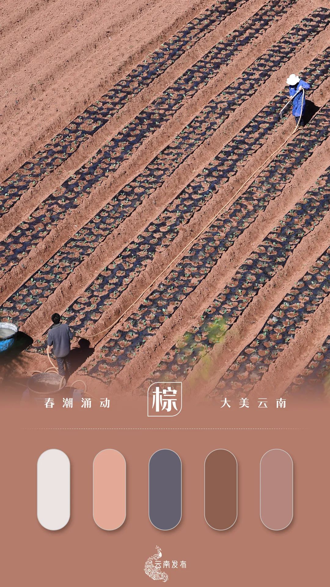 玉溪发布