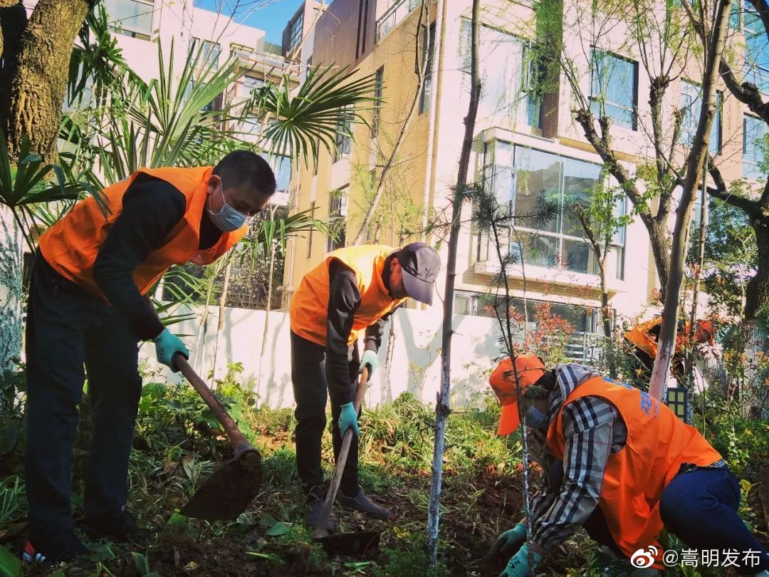 嵩明发布