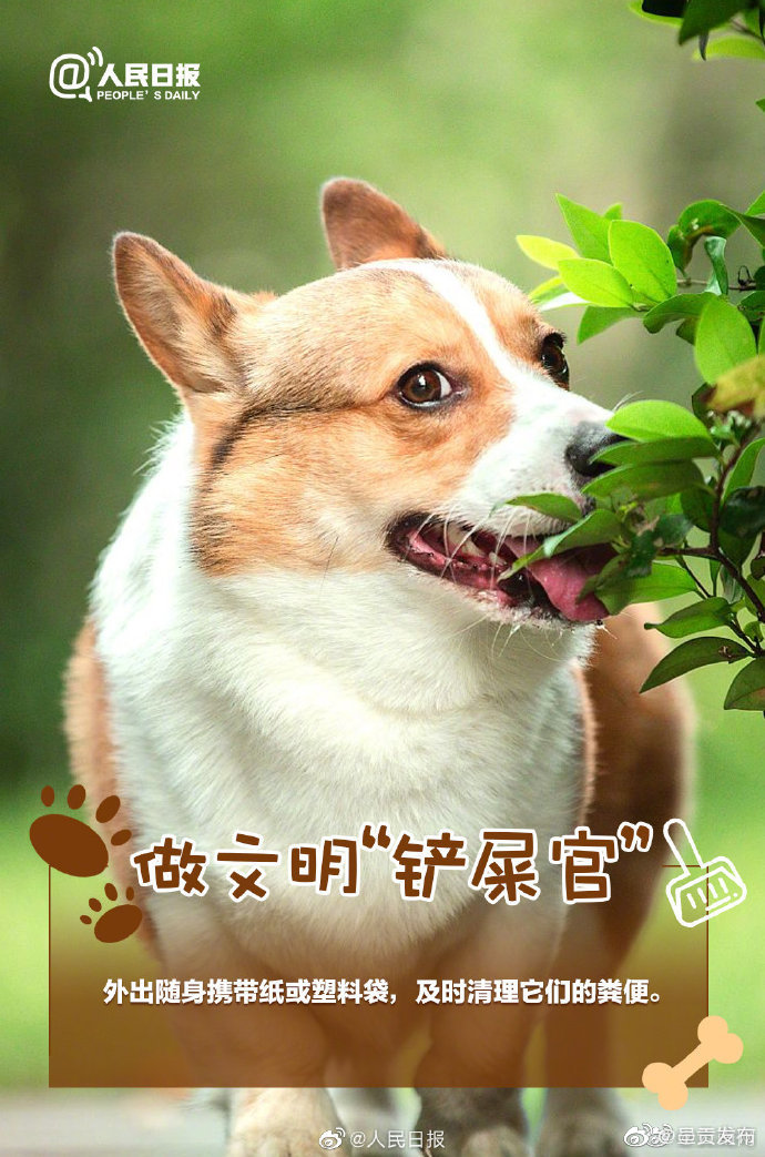 呈贡发布