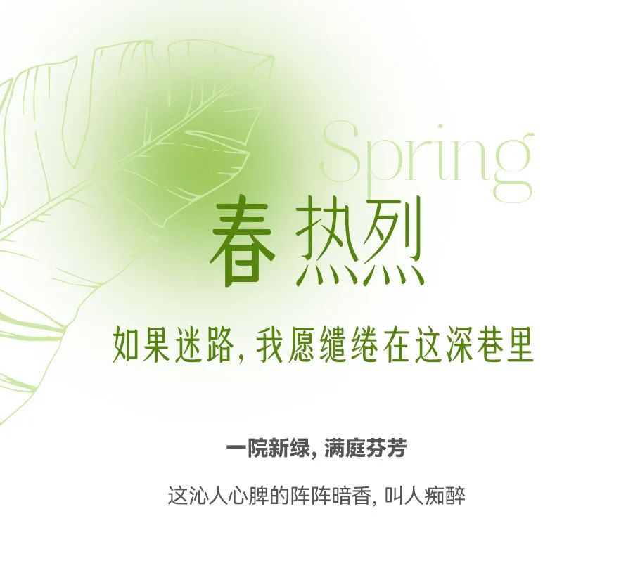 德宏团结报