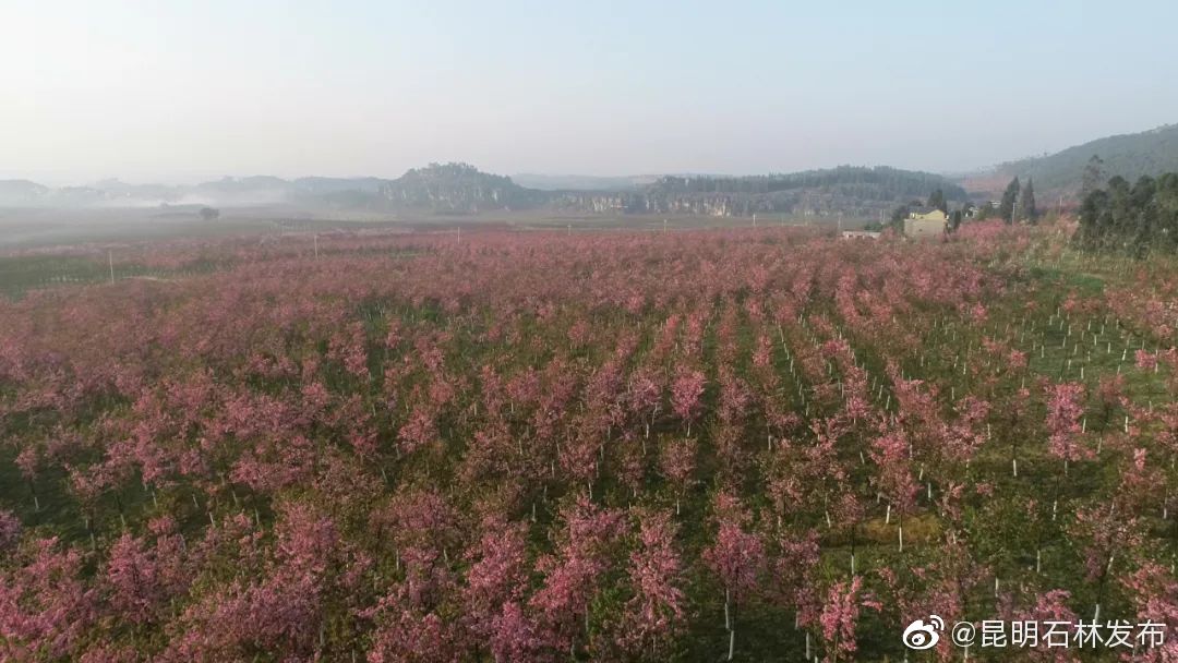 昆明石林发布