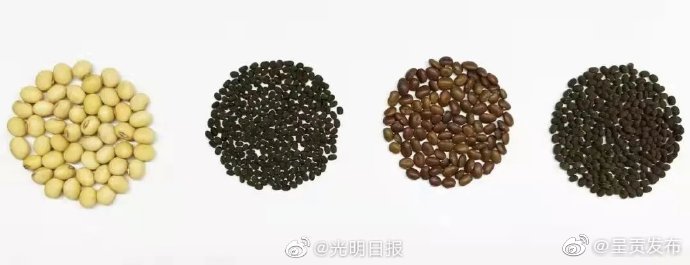 呈贡发布