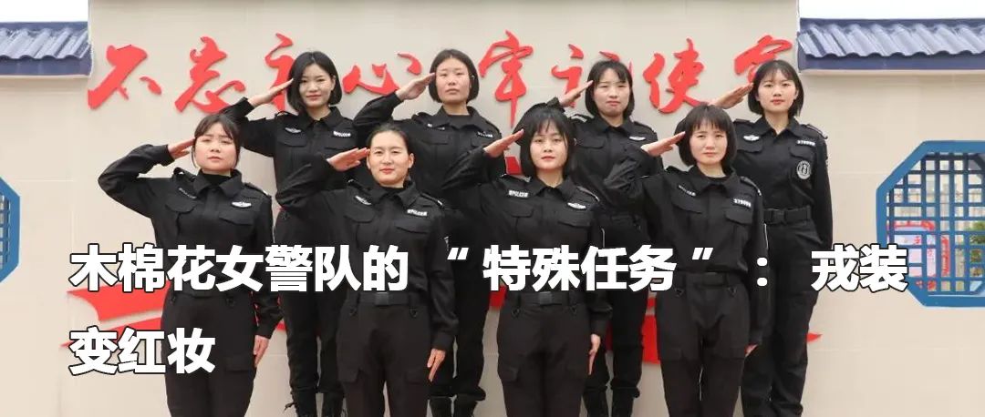 云南政法