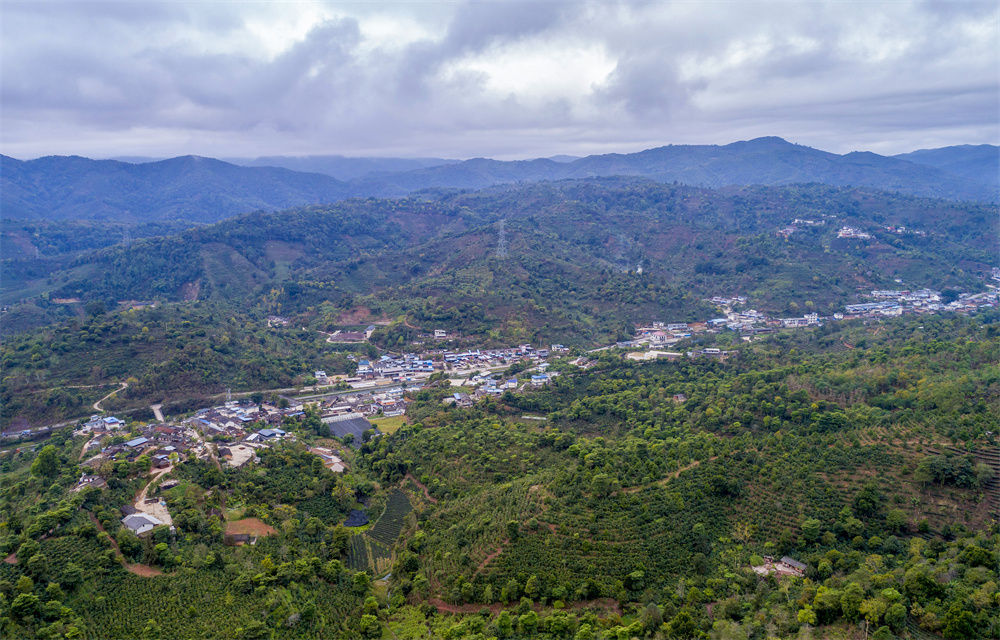 云南省文化和旅游厅