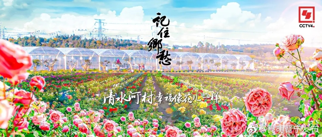 彩云之南，滇池之畔，一座与花香作伴的小村庄