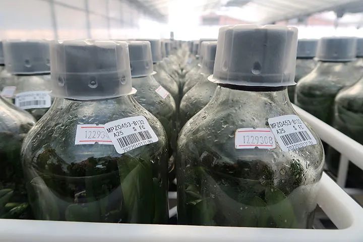 玉溪发布
