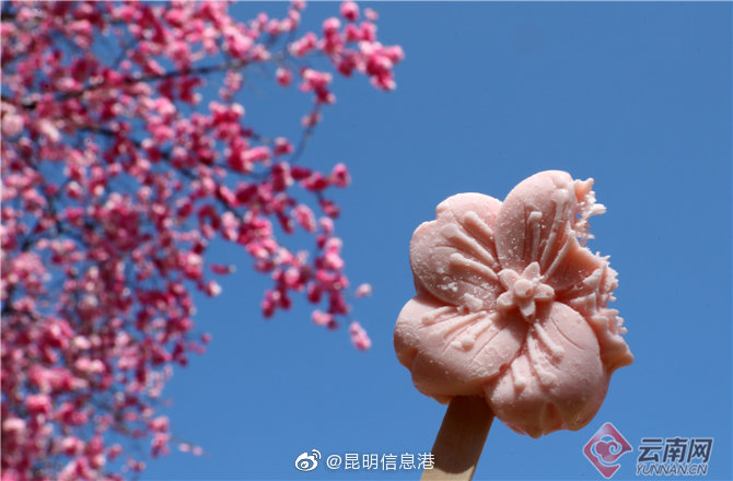 昆明信息港