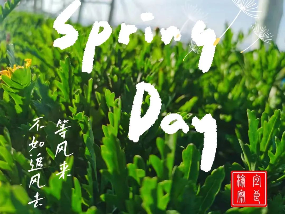宜良检察(微信)