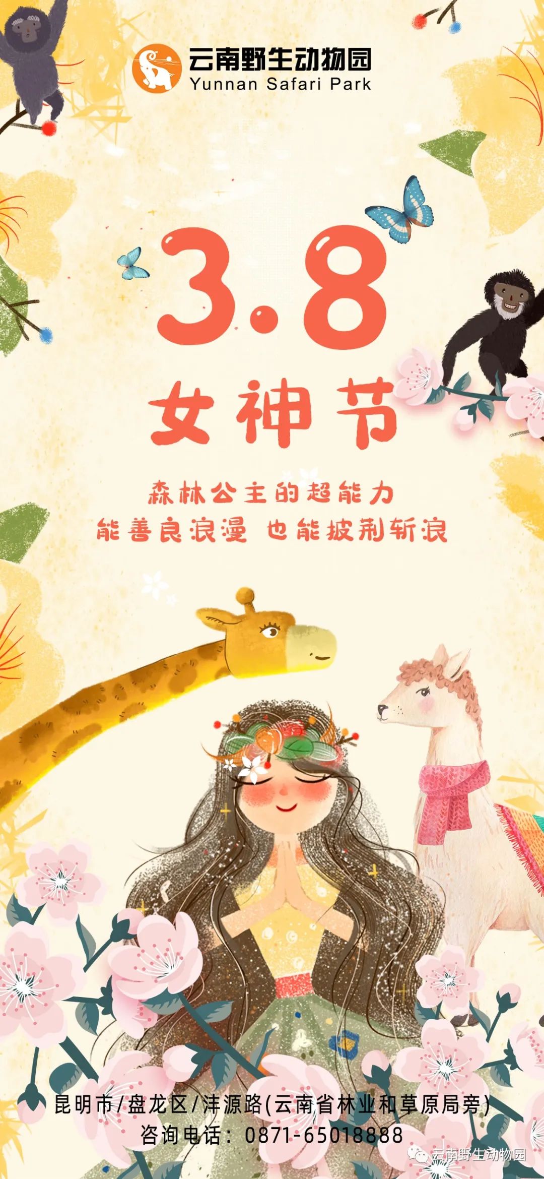 3.8女神节|在这专属的节日，不负美丽春光