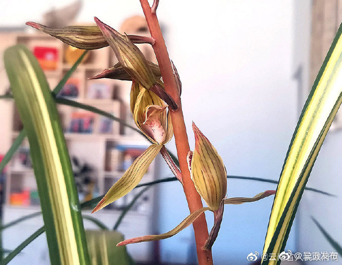 呈贡发布