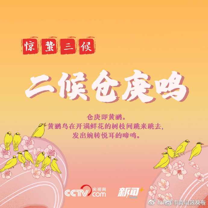 “昆明市西山区发布”微博