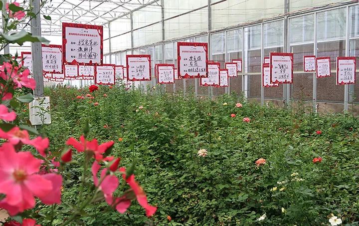 玉溪发布