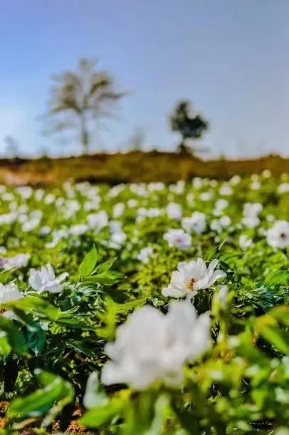 昆明阳宗海风景名胜区(微信)