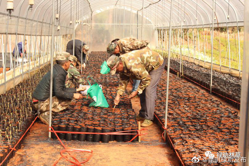 昆明禄劝发布