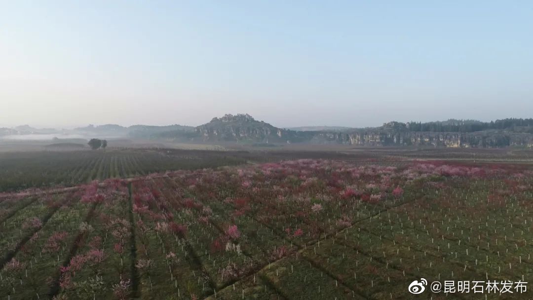 昆明石林发布