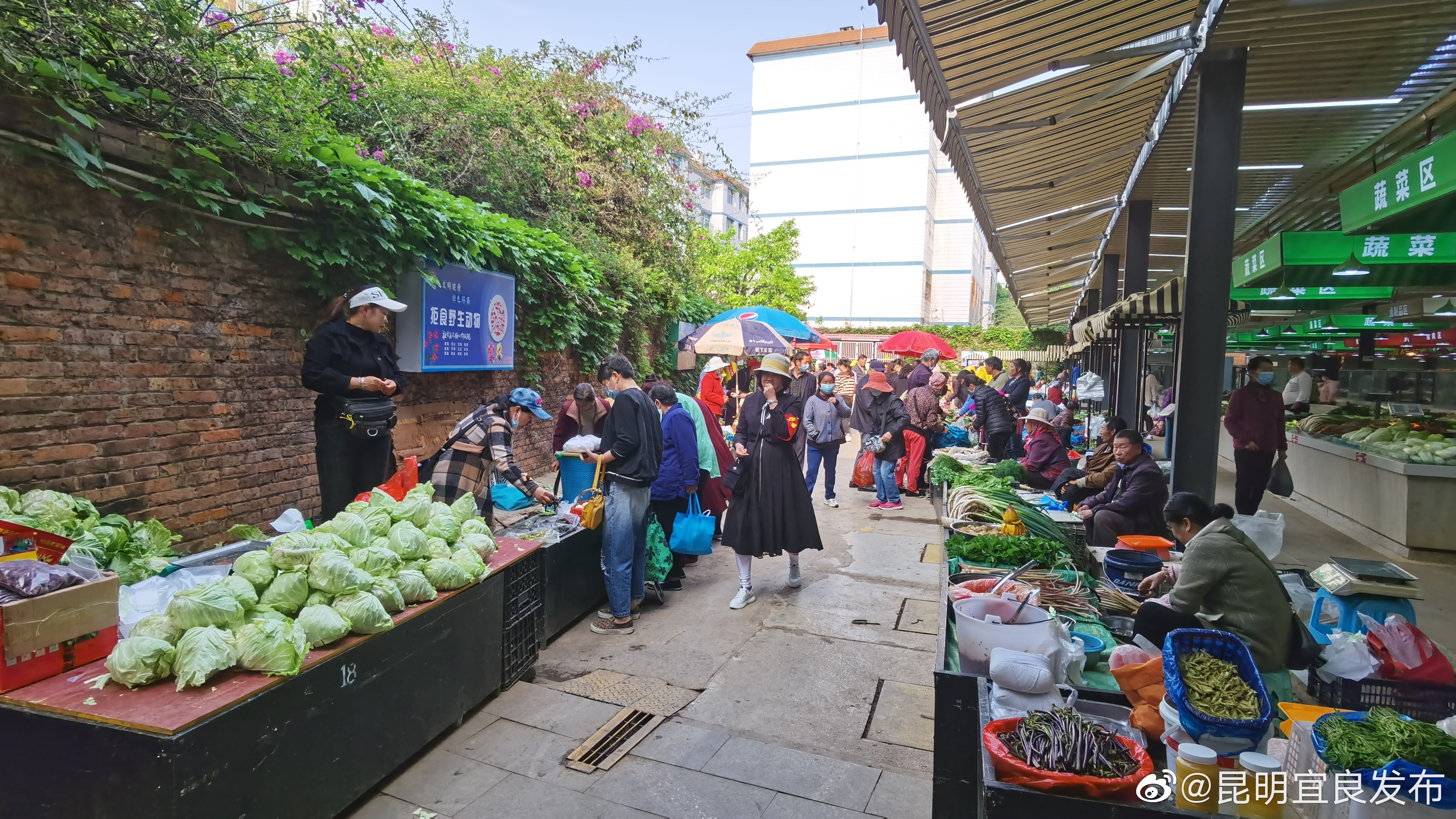“昆明宜良发布”微博