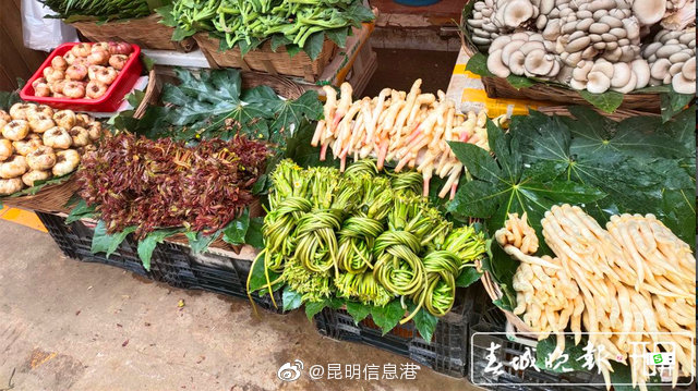 @昆明人 吃野菜有讲究 这份中毒预警请查收