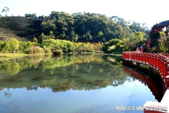 呈贡发布