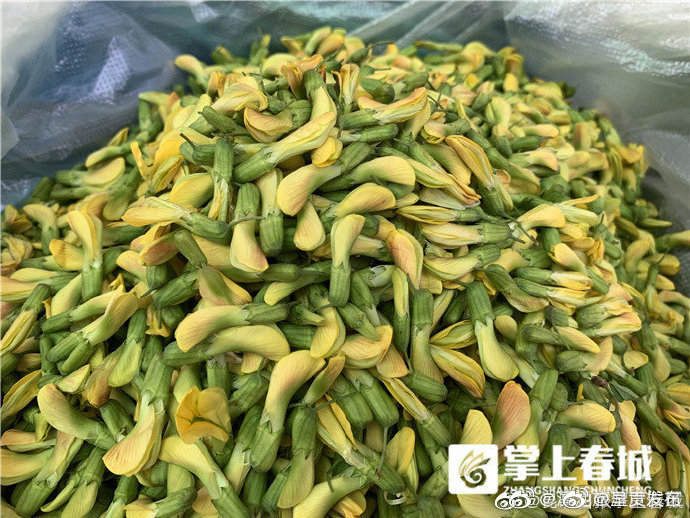 呈贡发布