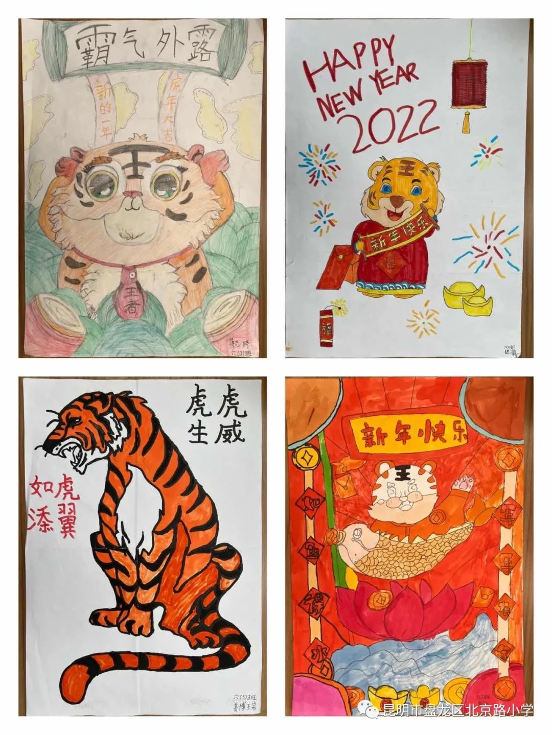 盘龙教育(微信)