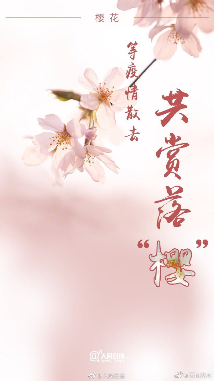 “云南发布”微博