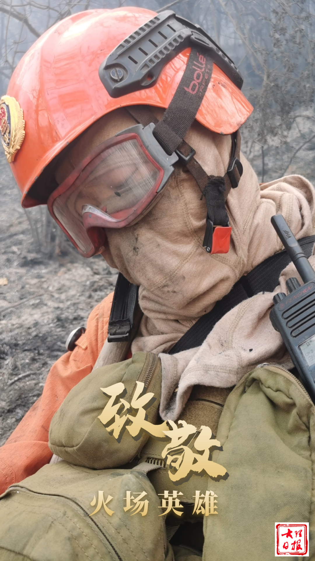 大理日报