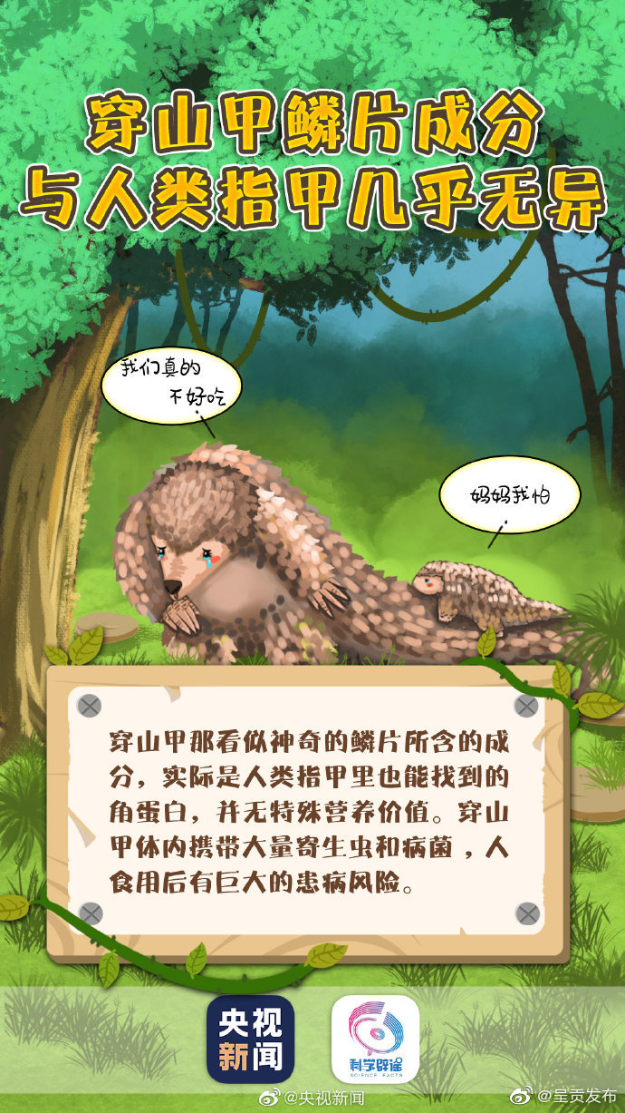 呈贡发布