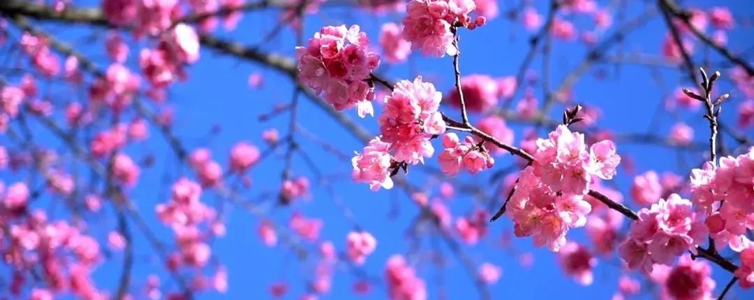 玉溪发布