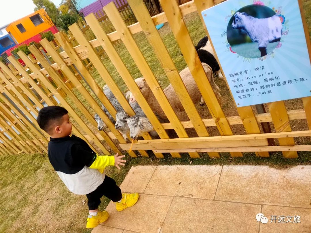 红河文旅