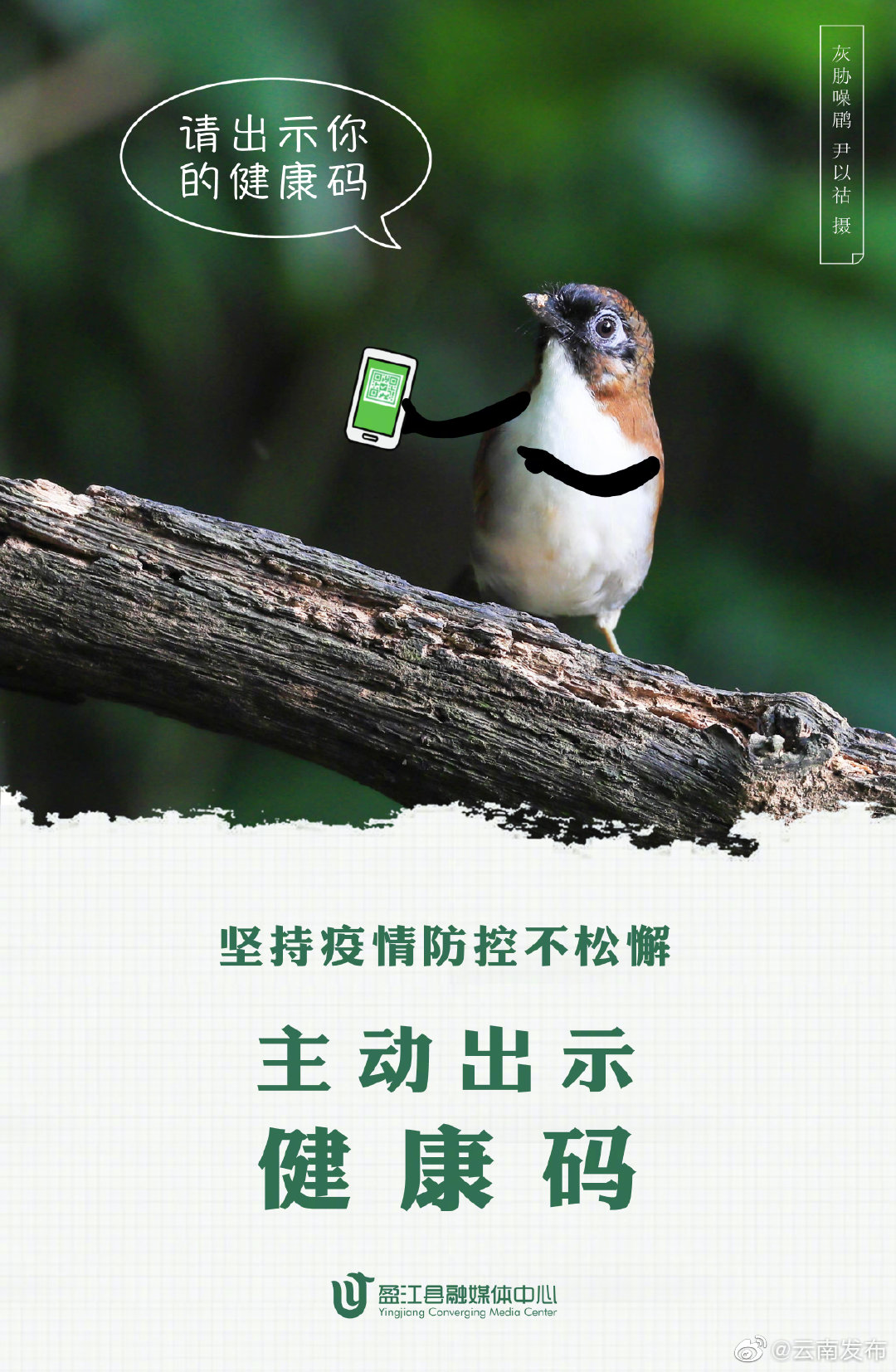 “云南发布”微博