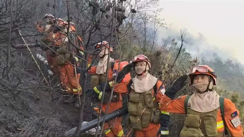 云南法制报