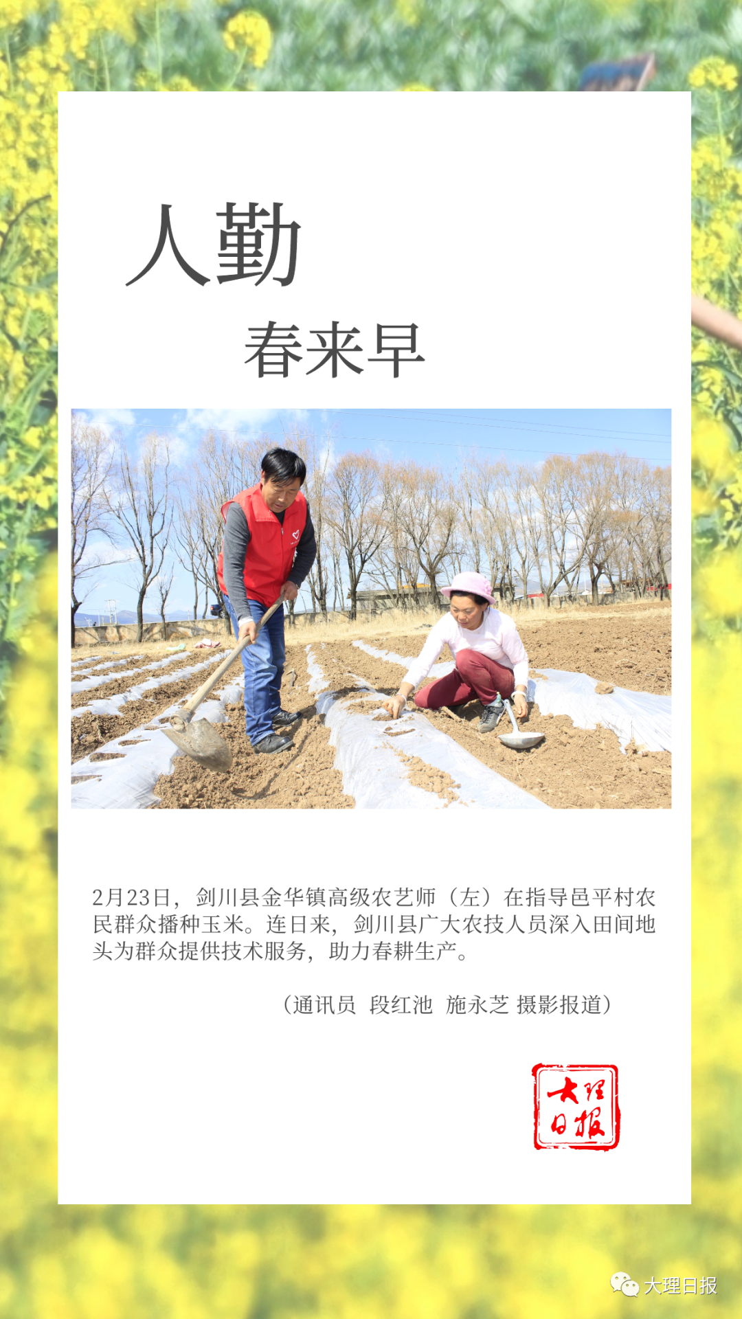 大理日报