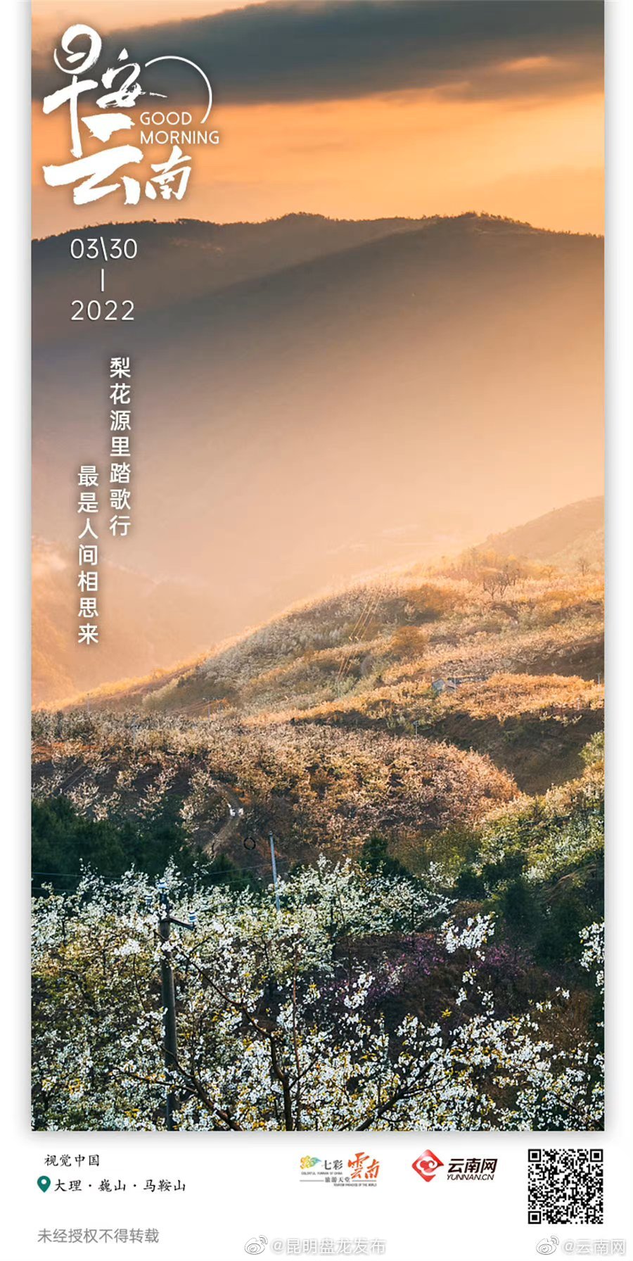 梨花盛放香十里 翩翩起舞醉芳菲