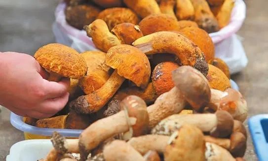 昆明发布