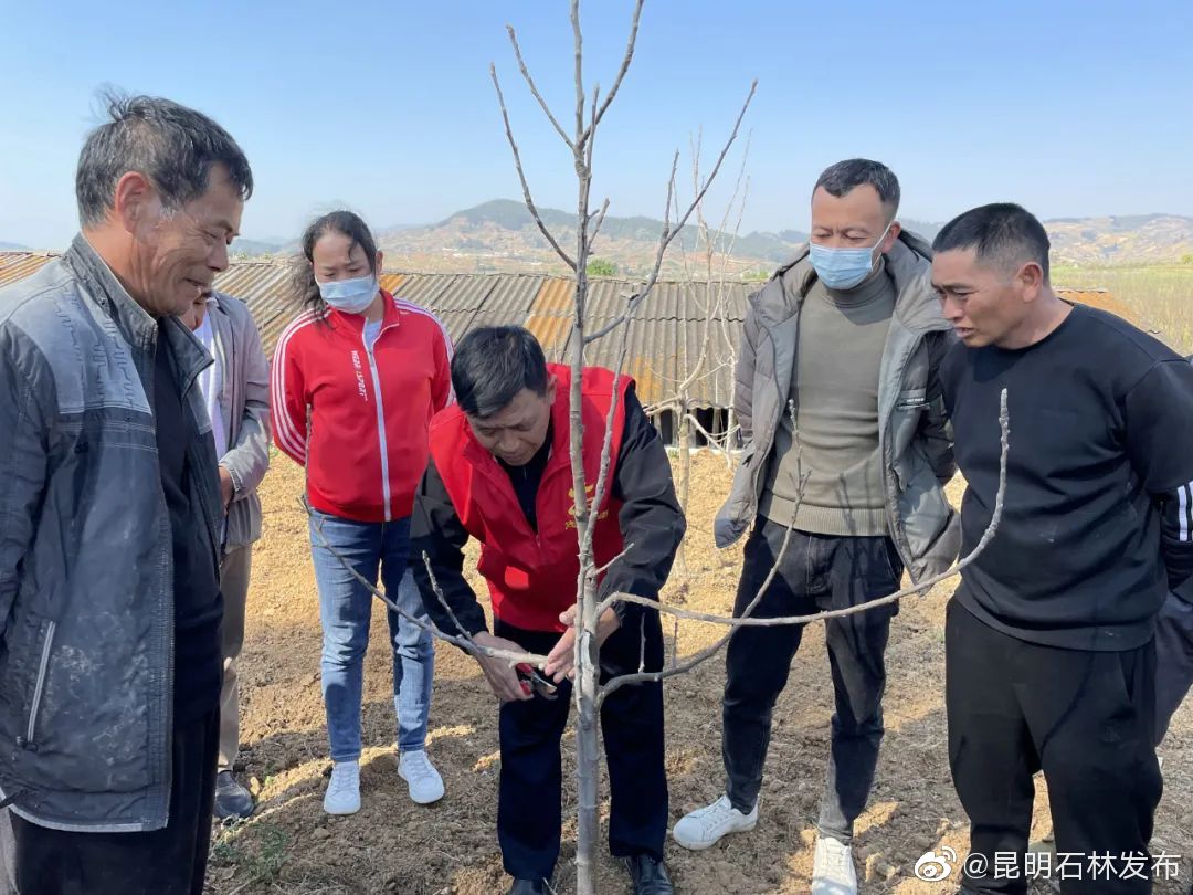 昆明石林发布