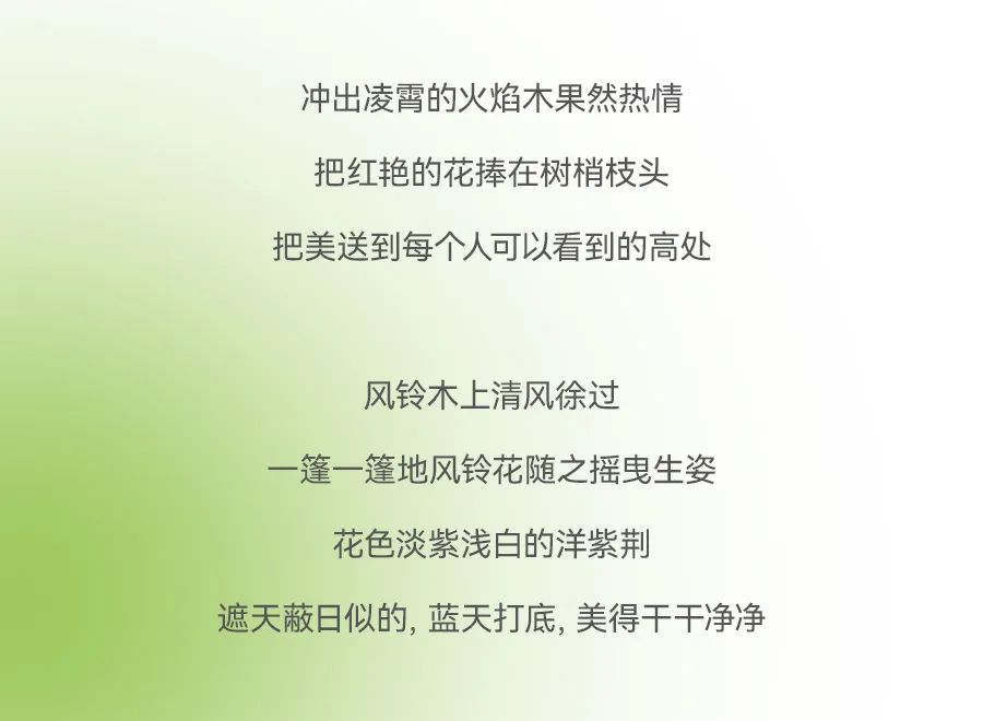 德宏团结报
