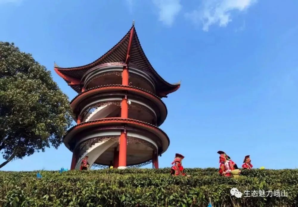 玉溪发布