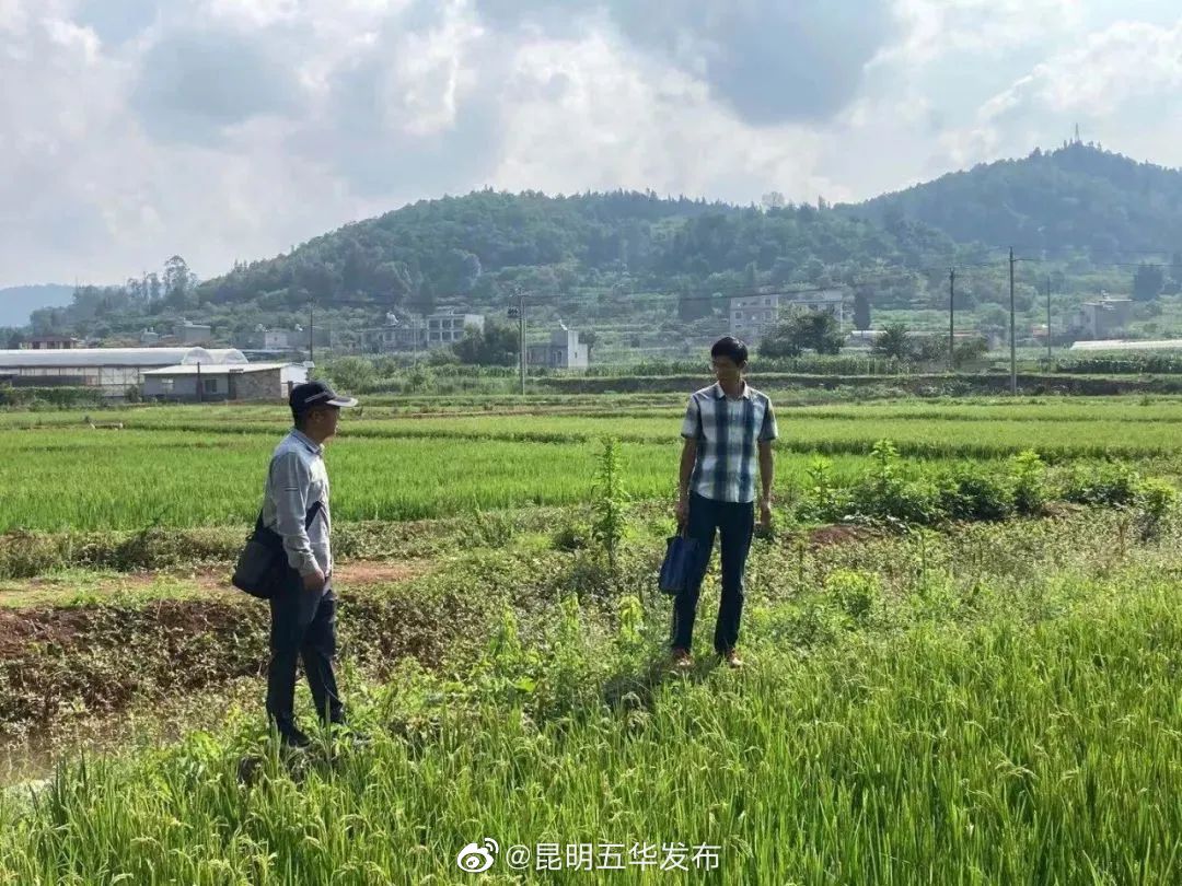 “昆明五华发布”微博